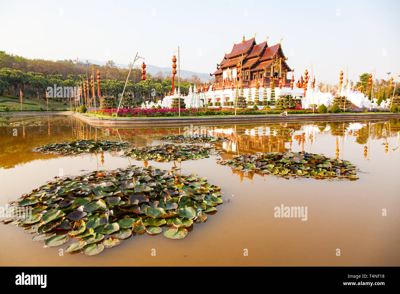 Royal Ratchaphruek Flora Park, Chiang Mai, Thailandia Foto Stock