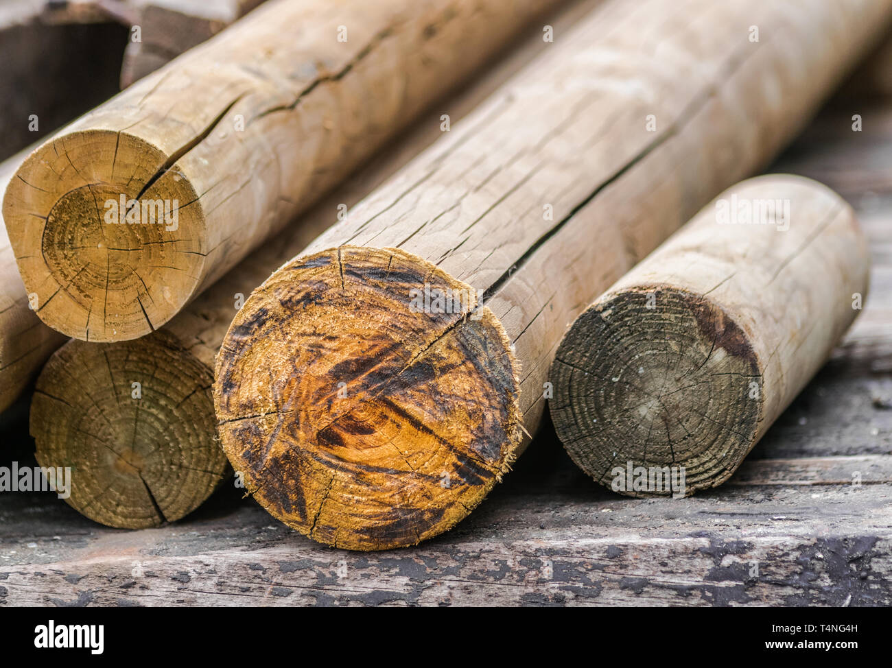 Impilati tondo in legno doghe Foto Stock