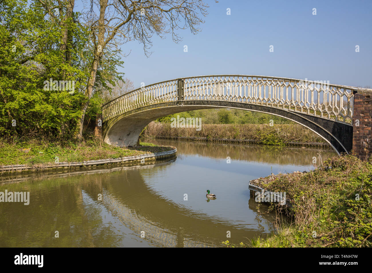 La Oxford Canal, vicino Cathiron,Warwickshire, Regno Unito Foto Stock