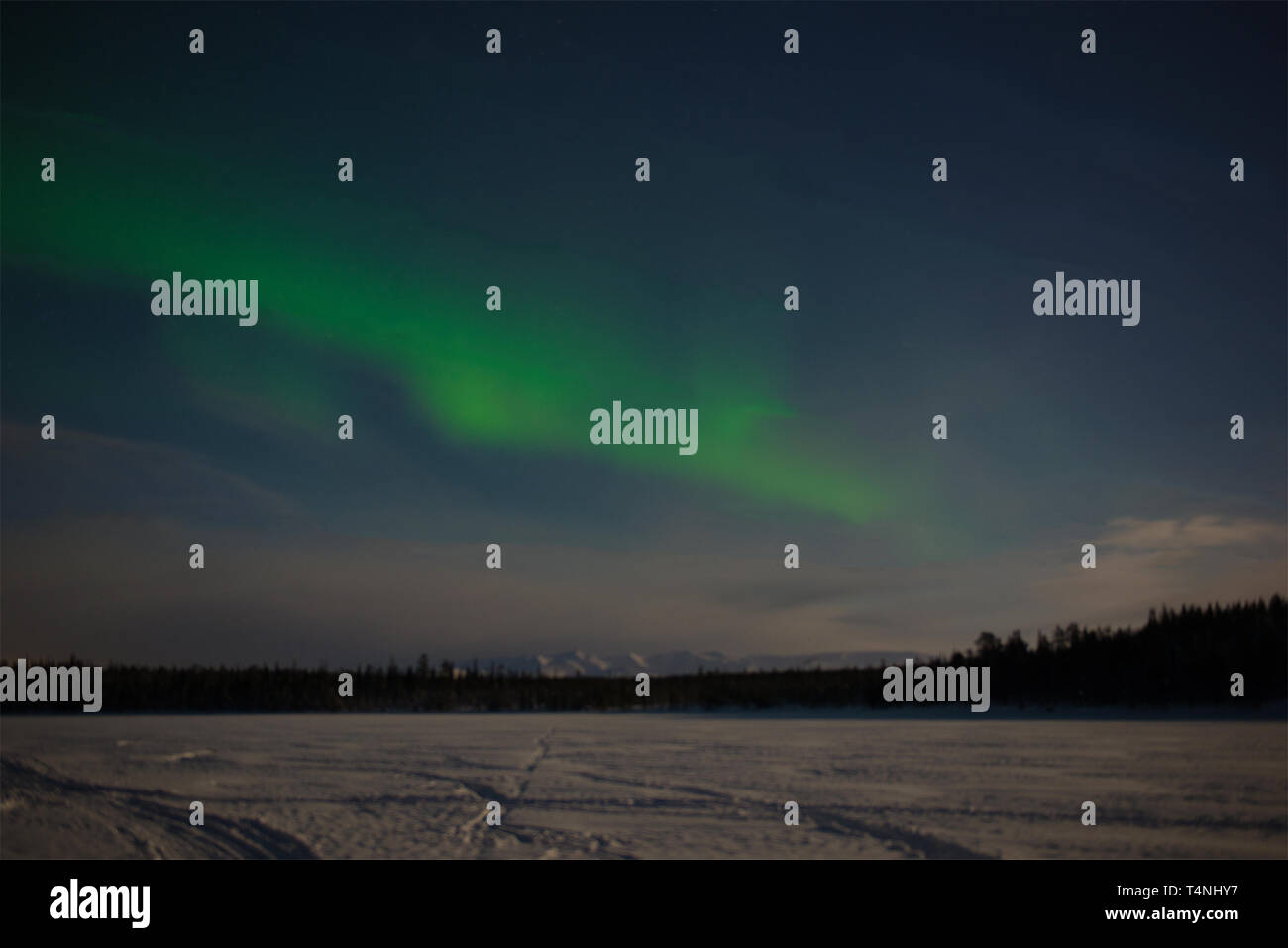 Aurora Boreale sopra il congelato Lago Imandra. Khibiny, penisola di Kola. La Russia Foto Stock