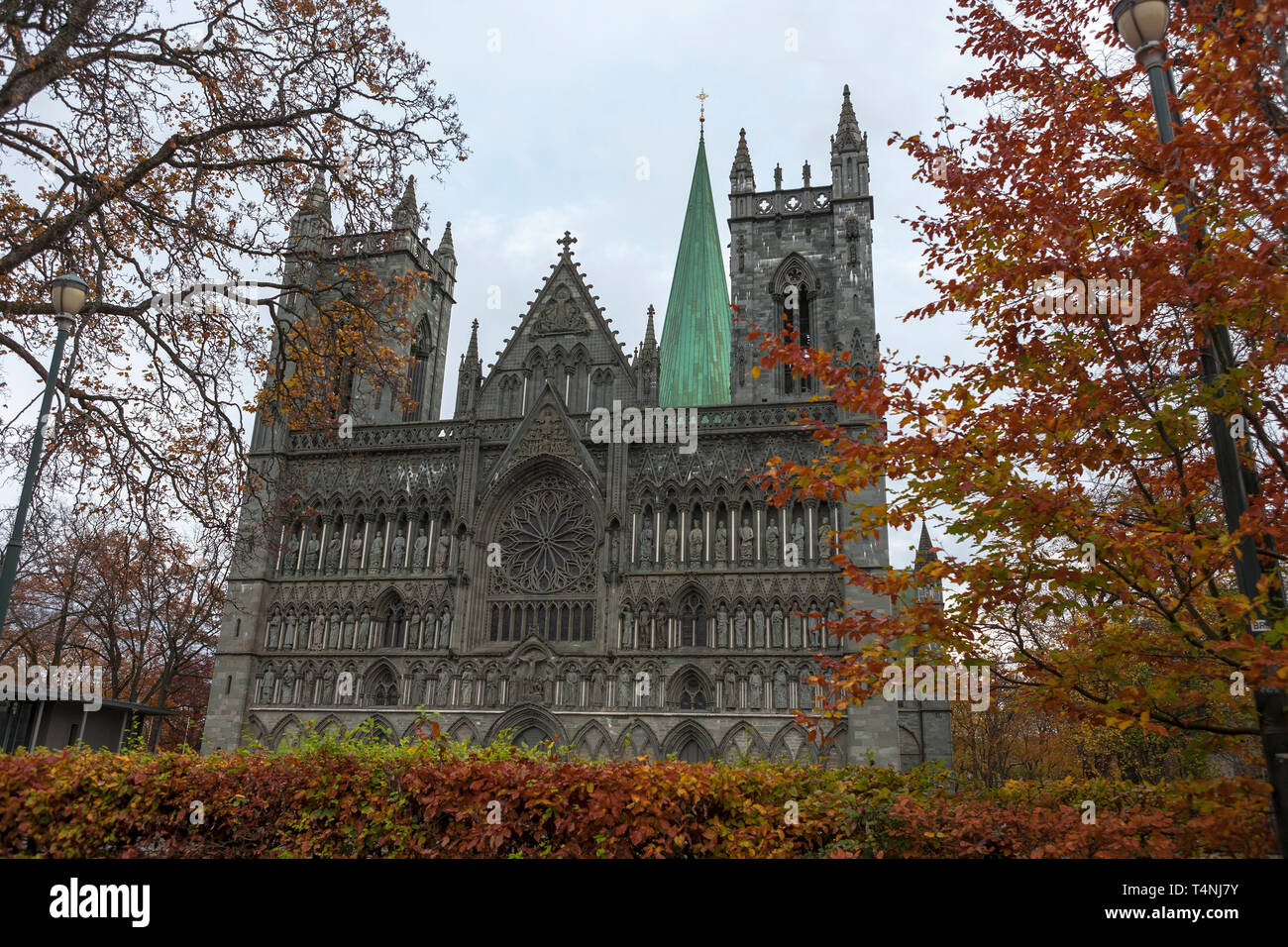 Fronte ovest della cattedrale di Nidaros in mezzo a vivaci colori autunnali, Trondheim, il Trondelag, Norvegia Foto Stock