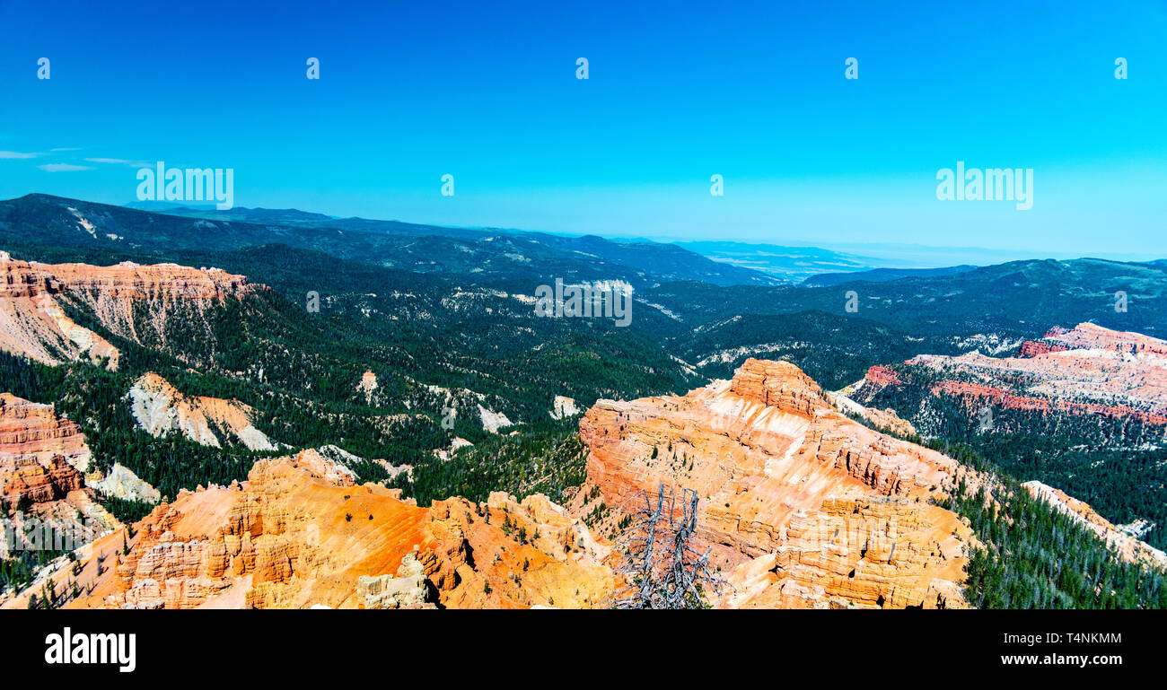 Guardando verso il giallo e arancione meteo arenaria intagliata con canyon verde della foresta e le montagne sotto un cielo blu. Foto Stock