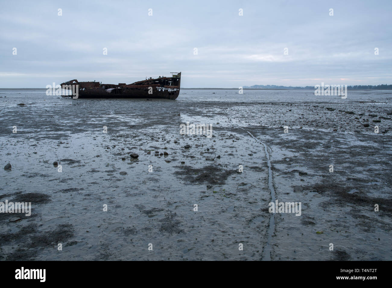 Il arrugginite abbandonate le rovine di una nave relitto sul porto spiaggia Motueka Foto Stock