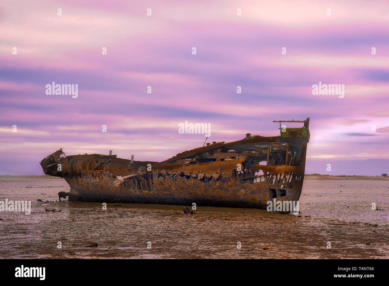 Il arrugginite abbandonate le rovine di una nave relitto sul porto spiaggia Motueka Foto Stock
