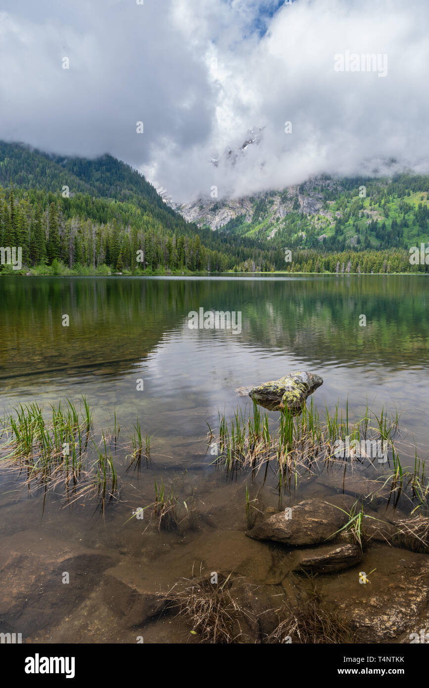 Le acque poco profonde in Taggart lago nel deserto Tetons Foto Stock