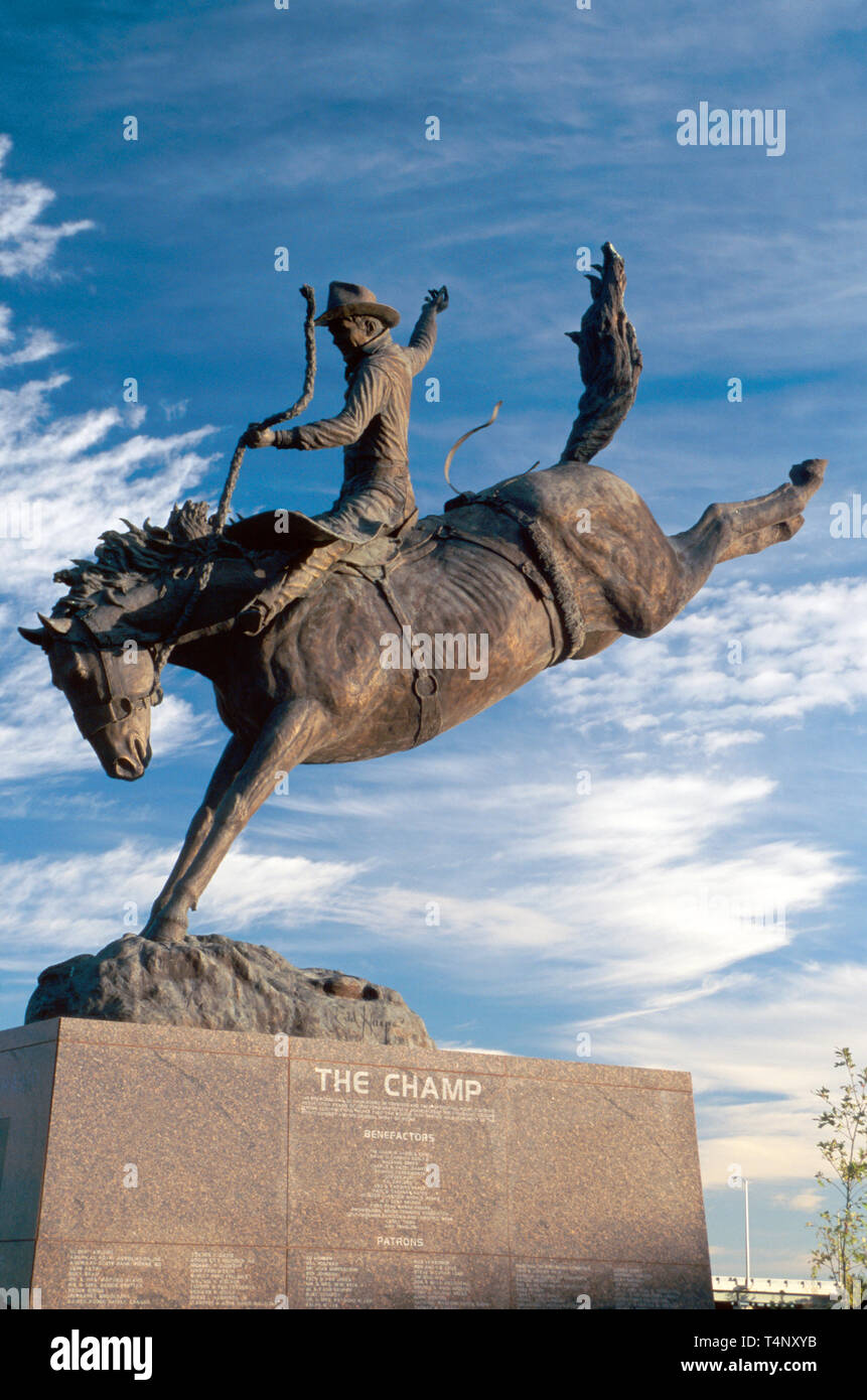 Colorado,The West,Western,Rocky Mountain state,Colorado Springs,Pro Rodeo Hall of Fame,collezione sportiva,cimeli,museo,collezione espositiva Foto Stock
