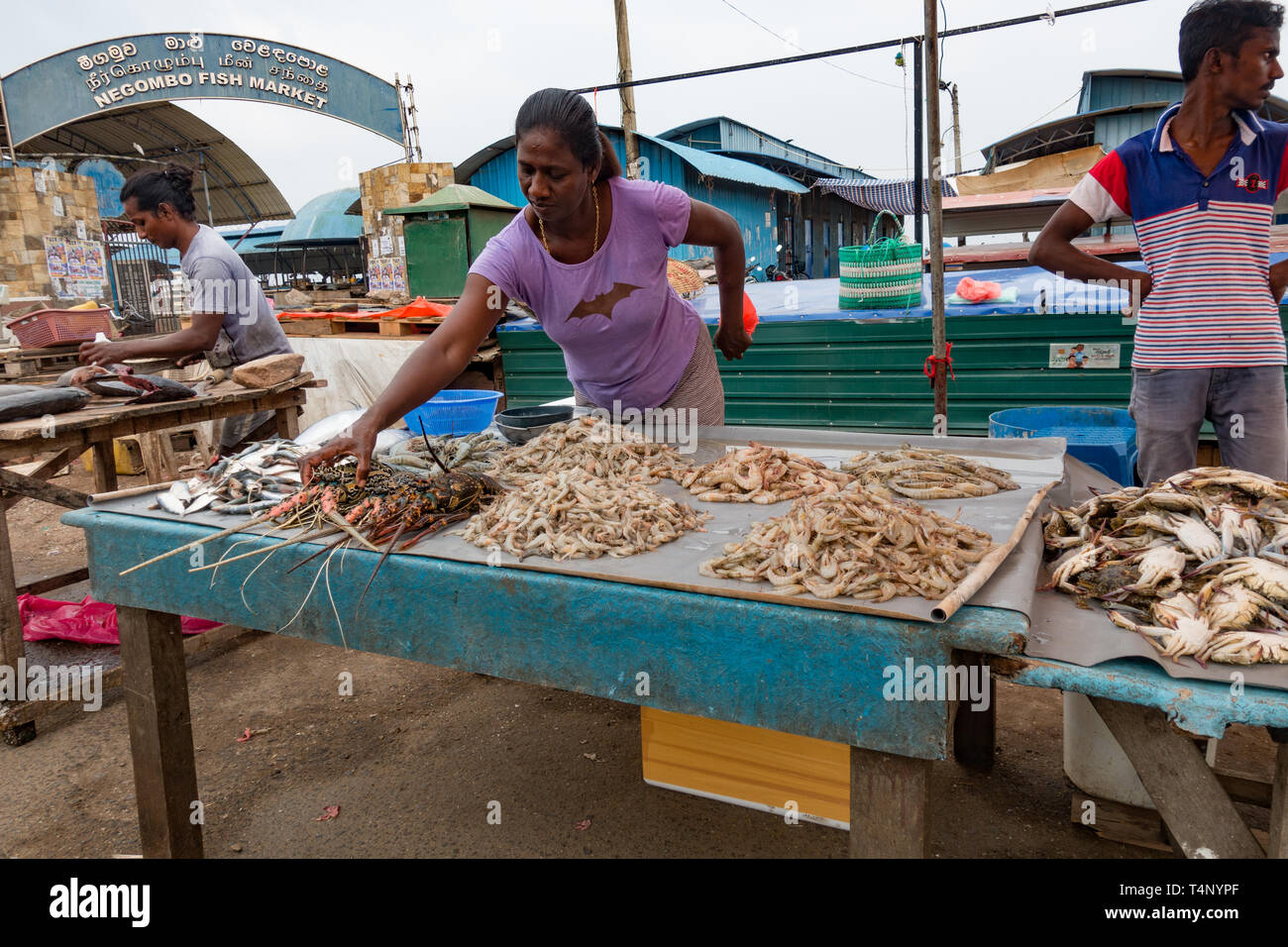 Il pesce per la vendita al mercato del pesce. Colombo. Lo Sri Lanka. Foto Stock