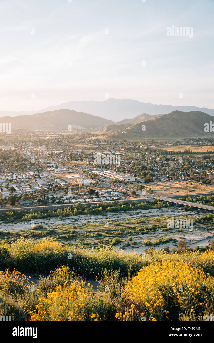 Fiori di colore giallo e la vista dal Monte Rubidoux, Riverside, California Foto Stock
