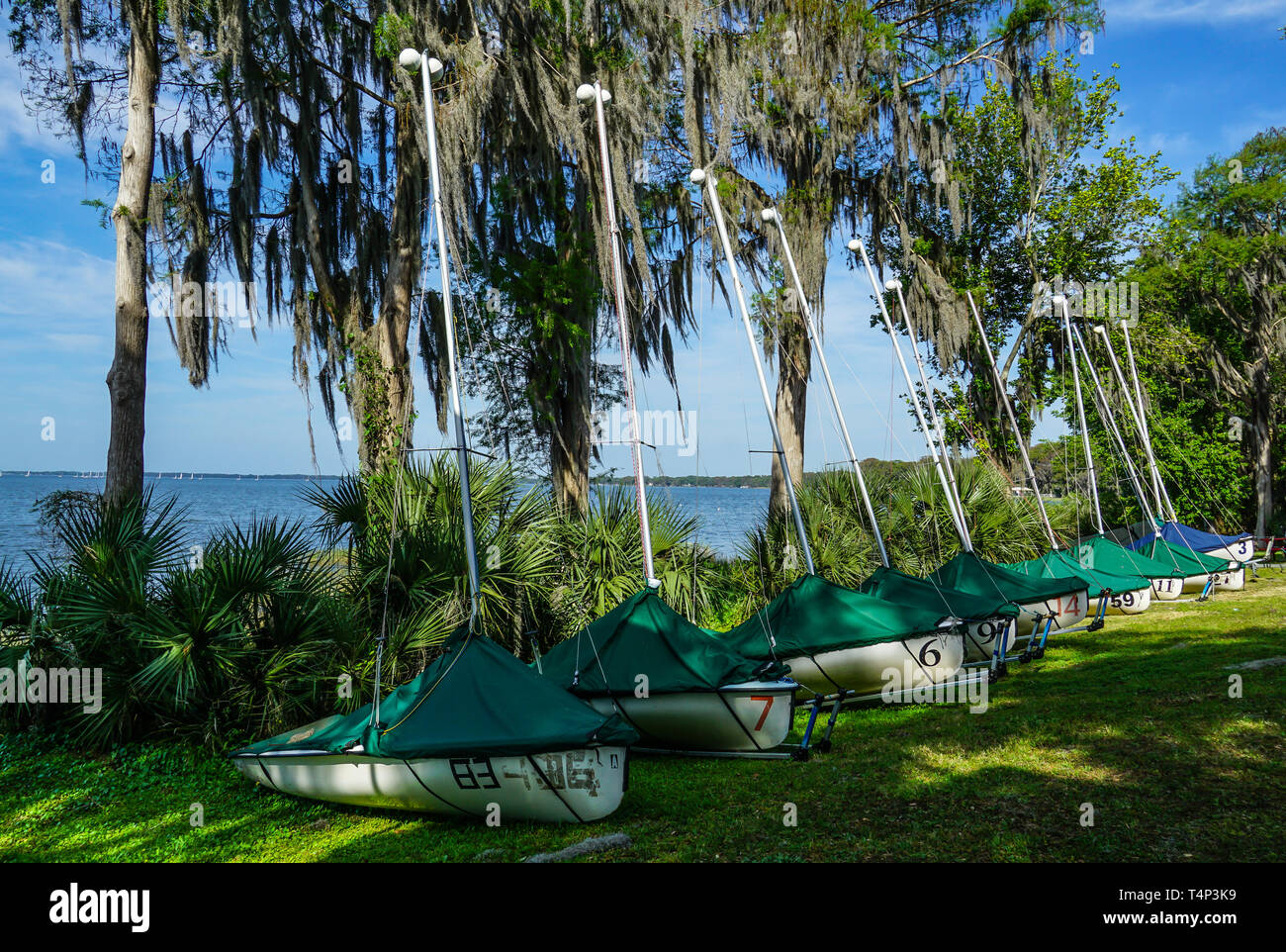 Il lago di Eustis, FL/Stati Uniti - 03/15/19 - barche a vela allineati lungo la sponda di uno yacht a vela Club presso un lago con muschio Spagnolo laden alberi. Foto Stock