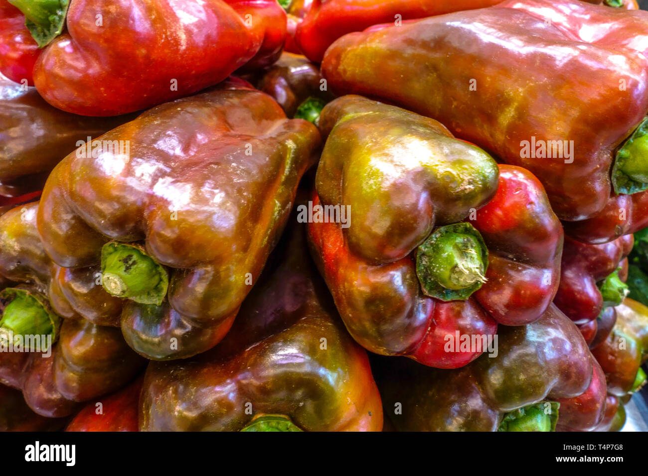 Primo piano di peperoni rossi maturi e castani al cioccolato in un tradizionale mercato agricolo di Valencia, Spagna. Foto Stock