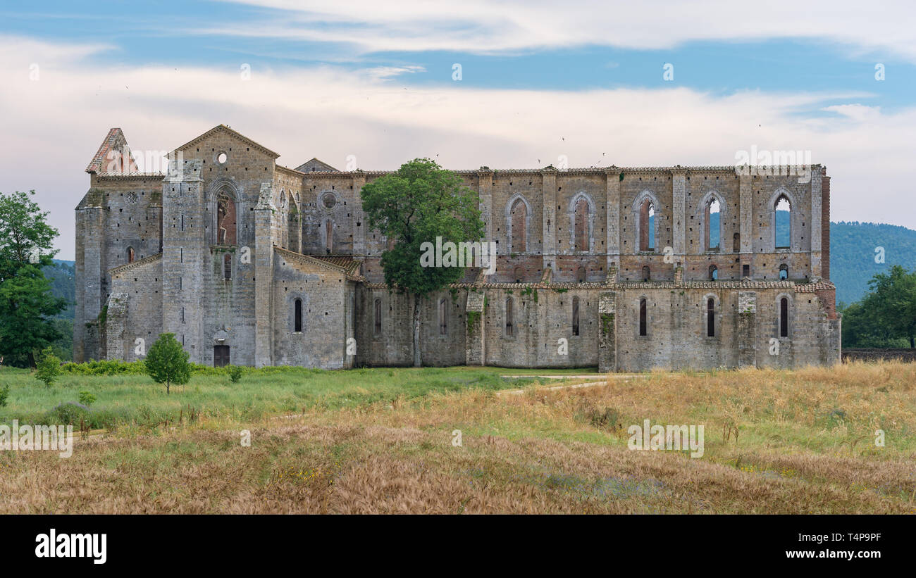 Abbazia di San Galgano in Toscana, Italia Foto Stock