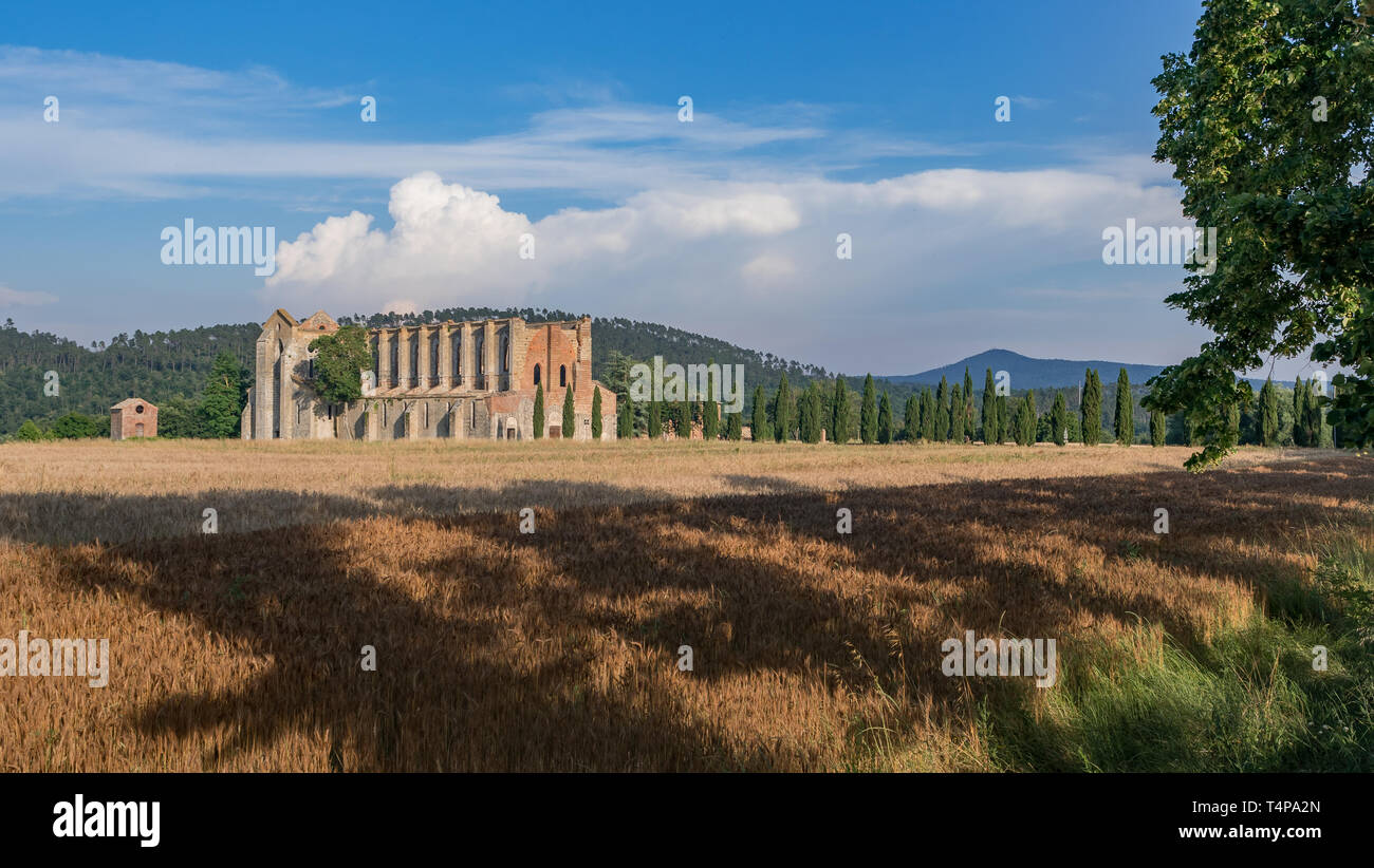 Abbazia di San Galgano in Toscana, Italia Foto Stock