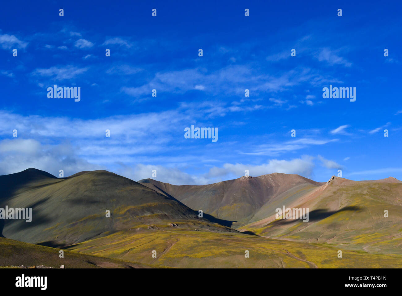 Il paesaggio dell'altopiano tibetano in Tibet, in Cina Foto Stock