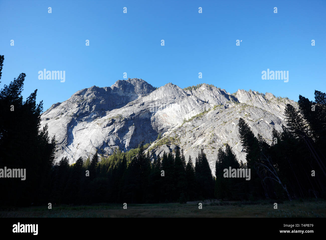 Vista dalla valle di Yosemite, del Parco Nazionale Yosemite in California, America. Foto Stock