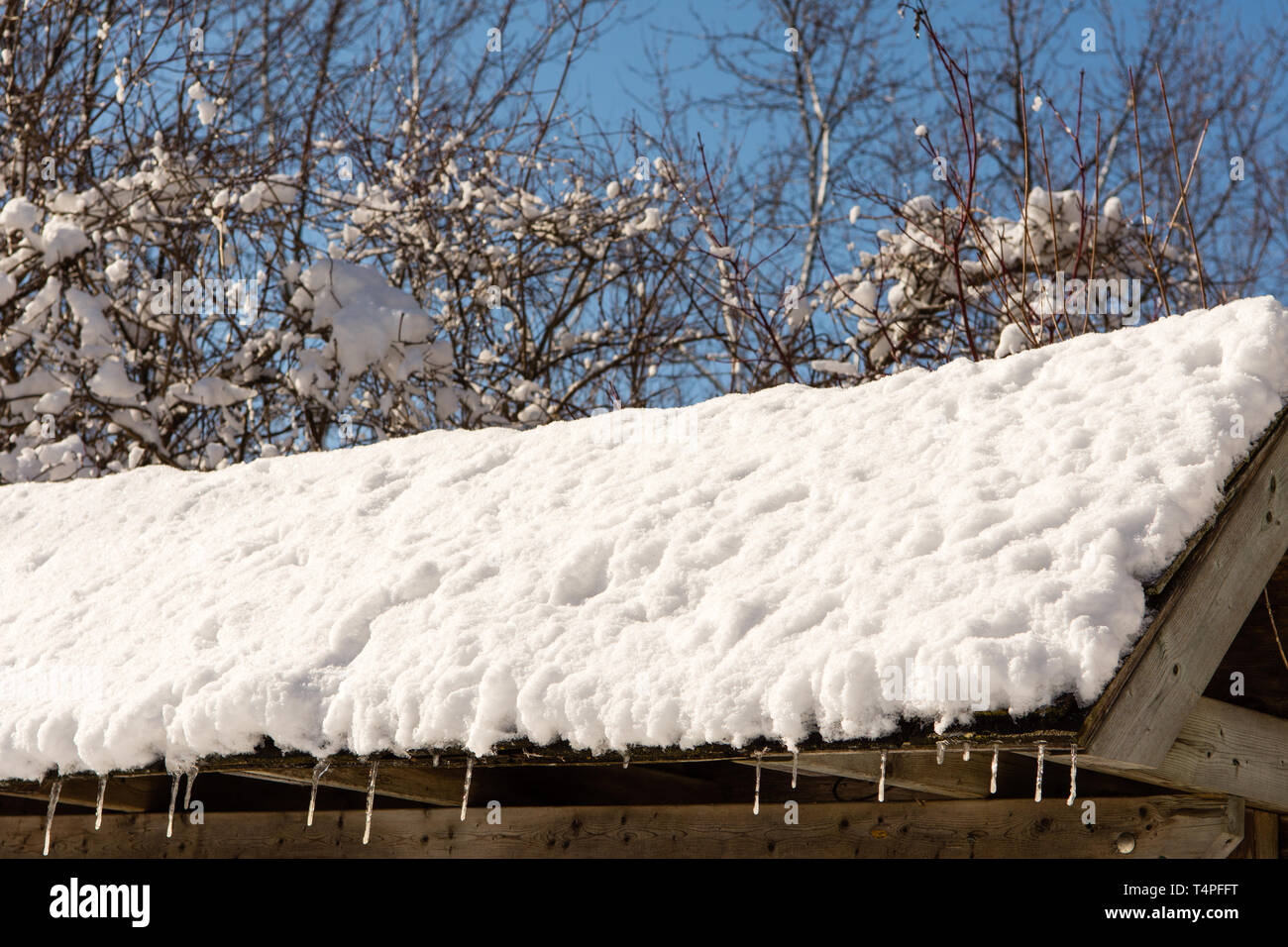 Frammento di una coperta di neve con tetto di ghiaccioli pendenti Foto Stock