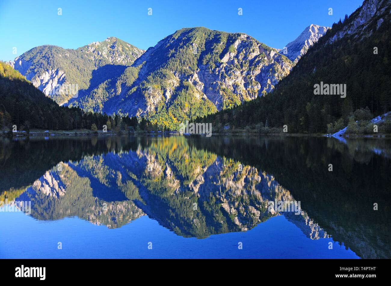 Plansee, Distretto di Reutte, Tirolo, Austria, Europa Foto Stock