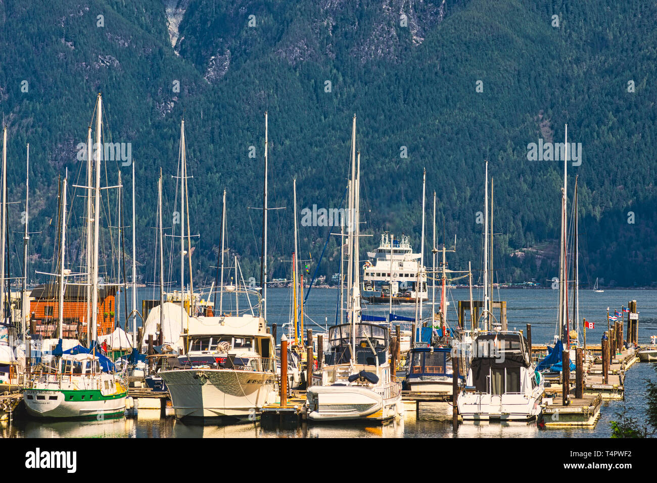 Paesaggi mozzafiato e paesaggi marini del Pacifico Nord Ovest dell isola di Bowen BC Canada vicino a Vancouver City Centre, arte della fotografia. Foto Stock