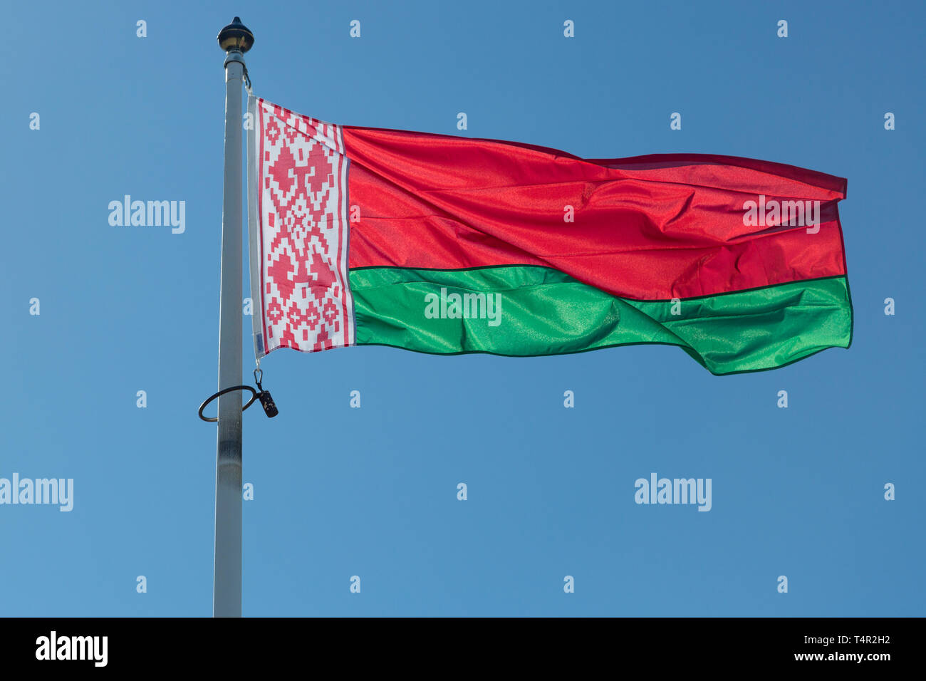 Bandiera della Bielorussia close up con un cielo blu. Foto Stock