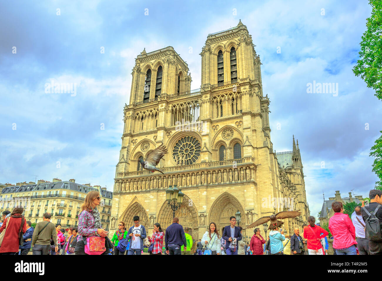 Parigi, Francia - luglio 1, 2017: il turista a godere i piccioni alimentando in Notre Dame square. a Parigi. Una popolare destinazione turistica nella capitale francese. Il Foto Stock