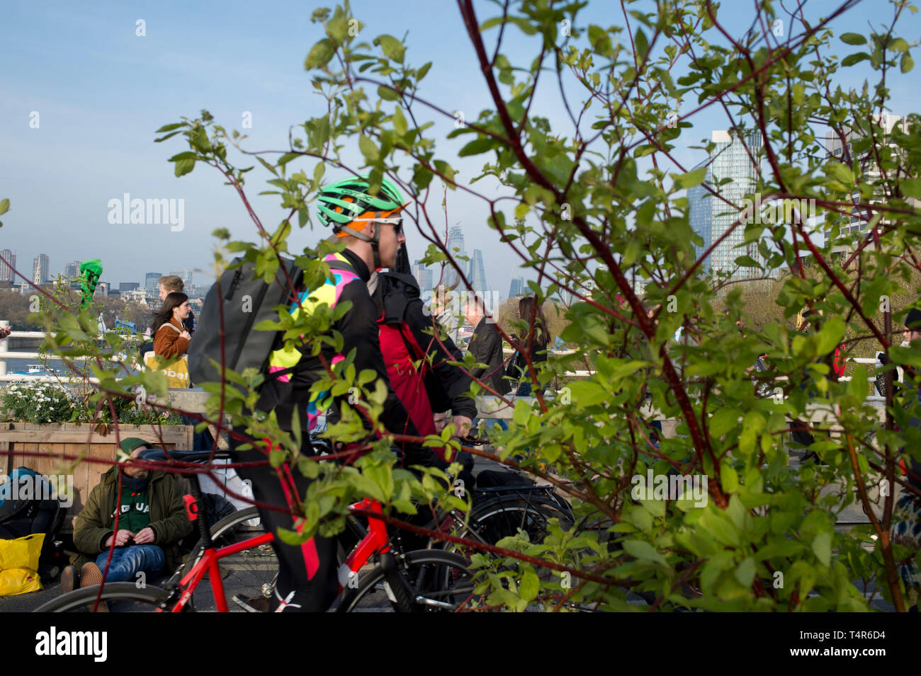 Londra 15 Aprile 2019. Estinzione della ribellione protesta alla domanda di azione sul cambiamento climatico. Waterloo Bridge; bicicletta pendolari passano dal giardino. Foto Stock