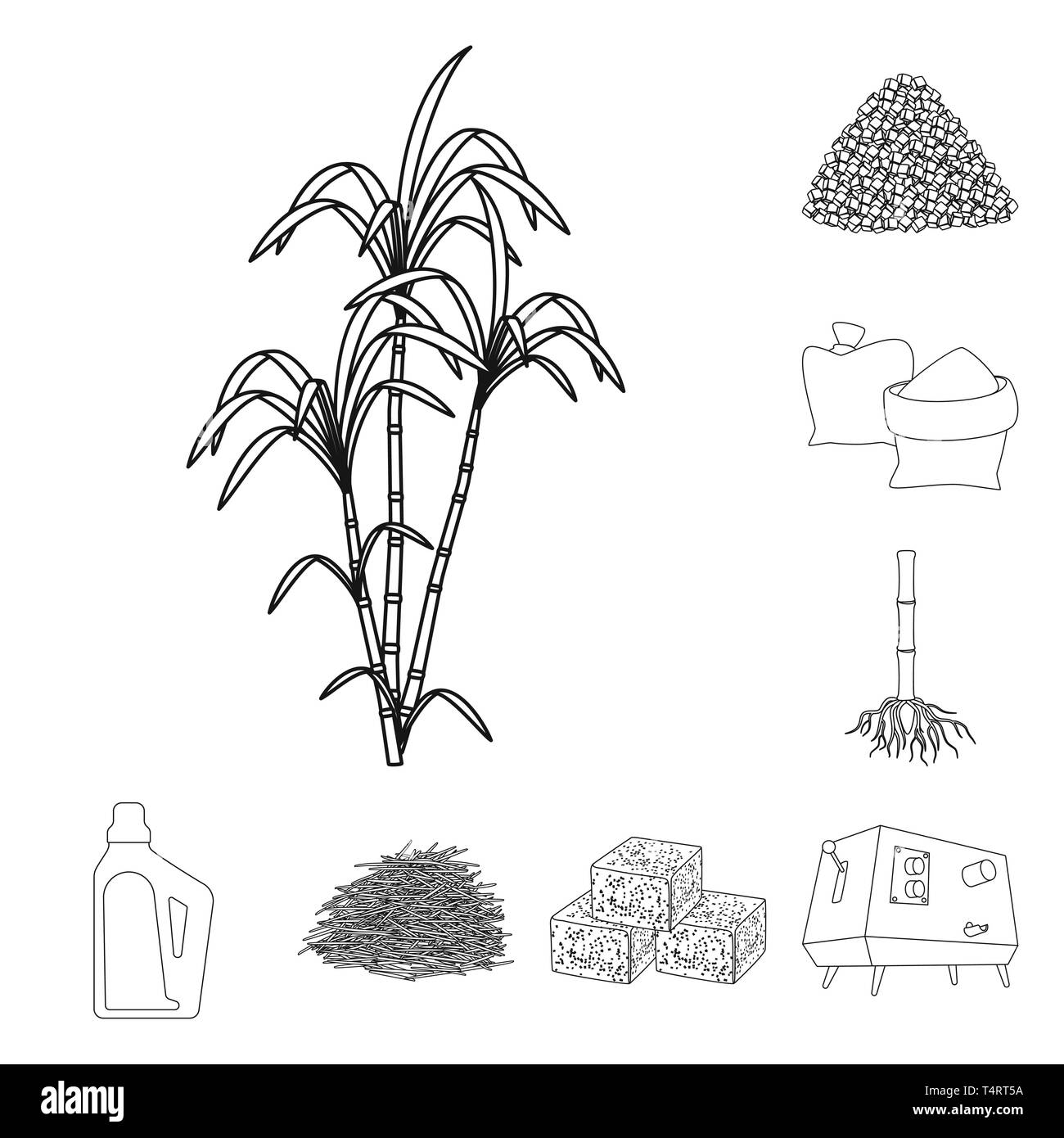 Bush,pezzo,bag,root,Casa,bagasse,cube,spremiagrumi,palm,granulata,sabbia,sistema,prodotti chimici,materie,cibo,macchina,pilastro,blocco,carboidrato,procedimento,capacità,sinistra,Piazze,APPARECCHIATURA,verde,l'india,il diabete,sviluppo,zucchero,campo,impianto,plantation,agriturismo,l'agricoltura,saccarosio,technology,la canna da zucchero, la canna da zucchero,impostare,vettore,icona,immagine,isolato,raccolta,design,l'elemento,graphic,segno,contorno,linea vettori vettore , Illustrazione Vettoriale