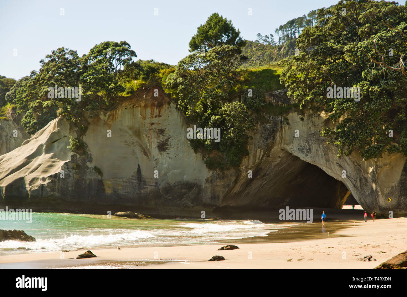 Cove della cattedrale, Coromandel, Nuova Zelanda Foto Stock