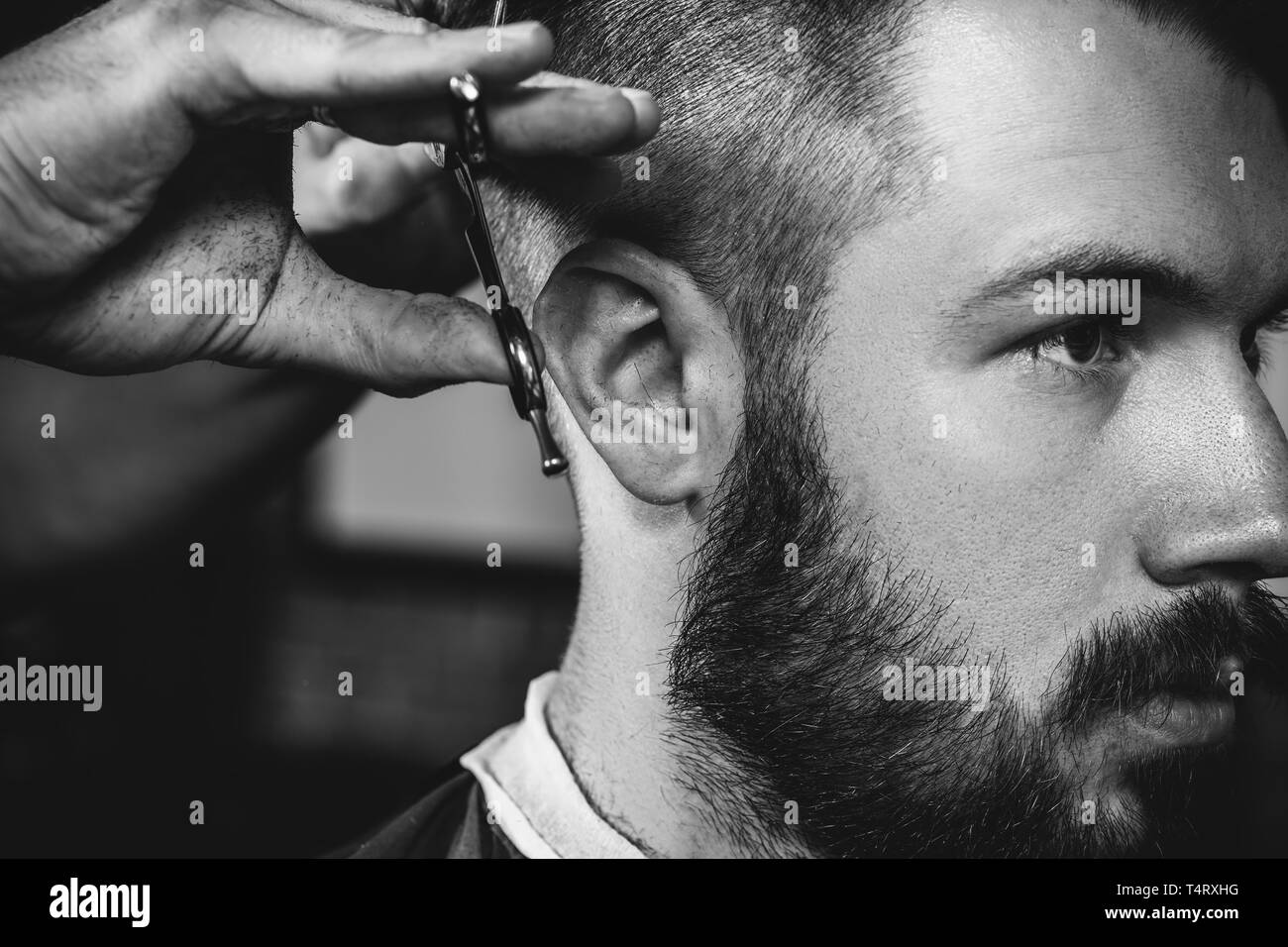 Giovani bel barbiere rendendo haircut per attraente uomo barbuto al barbiere. Nero e bianco o incolore foto. Acconciatura, salone di bellezza e parrucchiere, barbiere, il concetto di stile di vita. Caucasian modelli maschili. Foto Stock