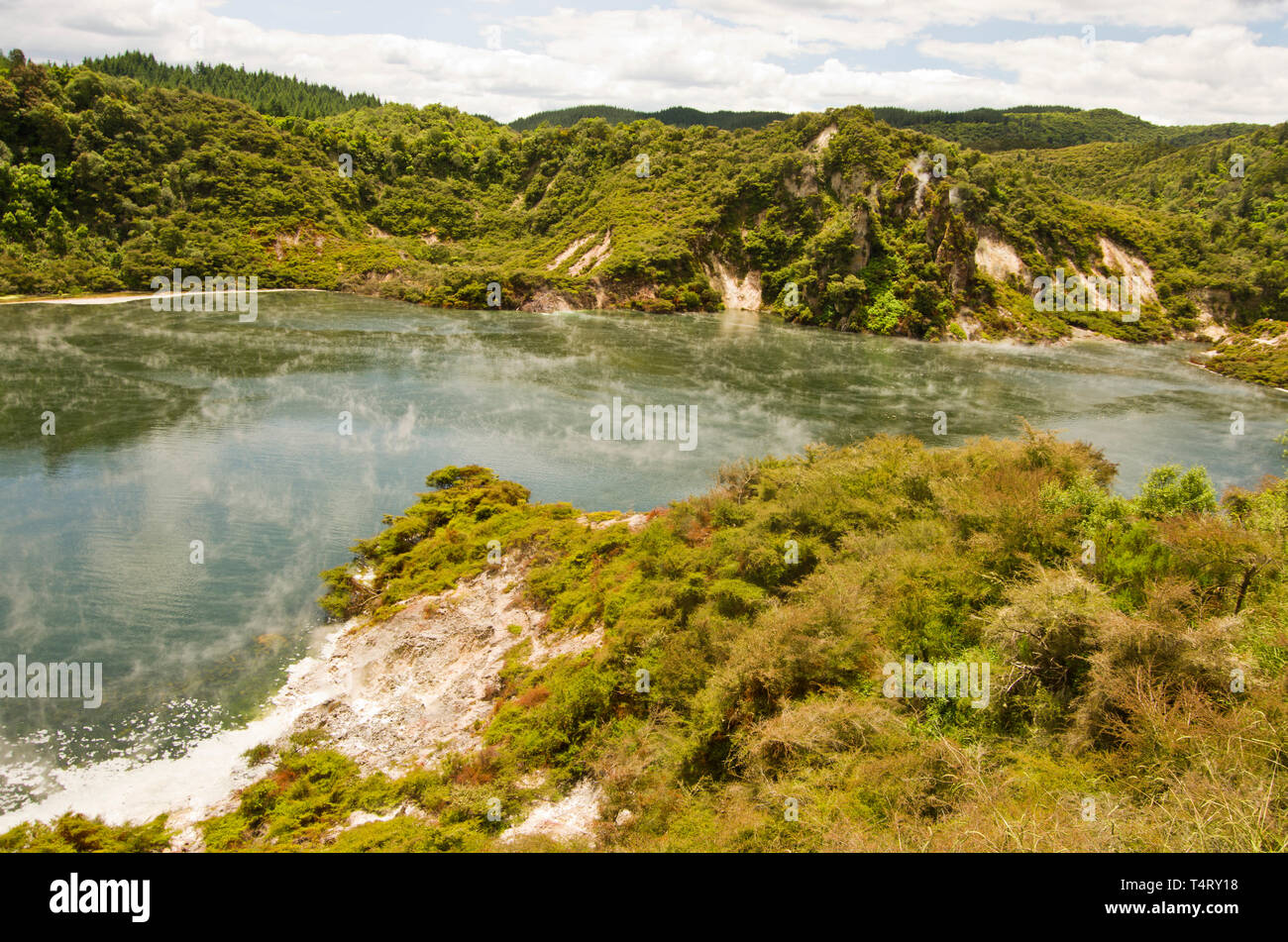 Padella lago, Waimangu, Nuova Zelanda Foto Stock