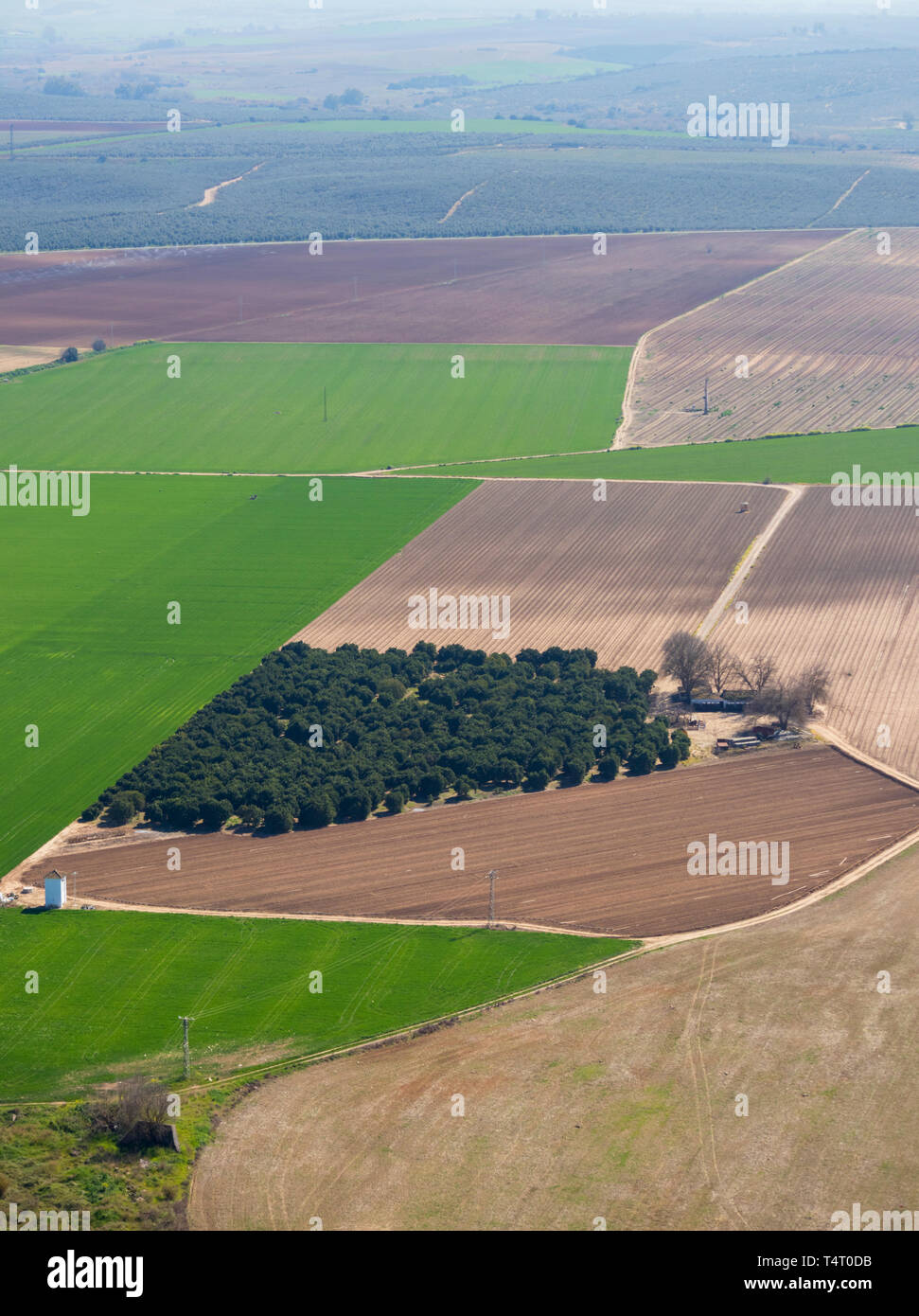 Terreni coltivati al di fuori Almodovar del Rio, in provincia di Cordoba, Spagna. Foto Stock