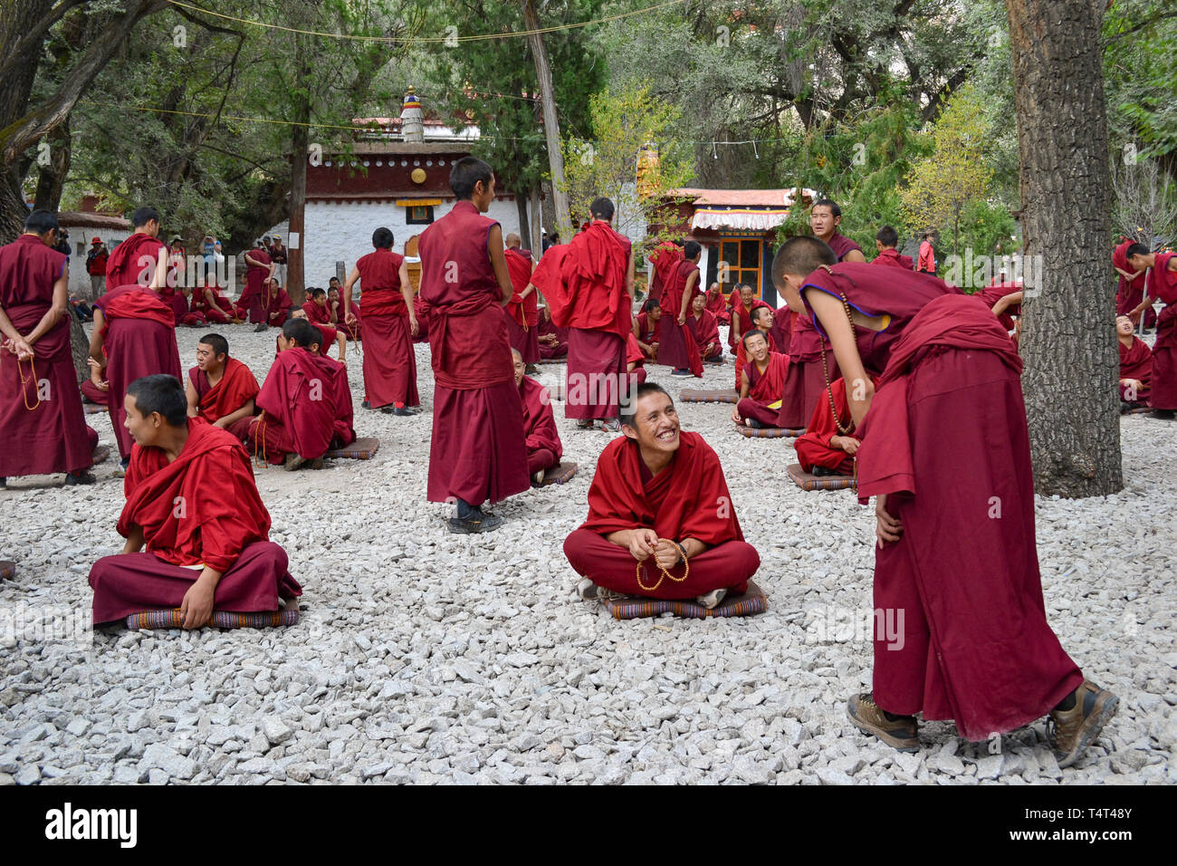 I dibattiti tra i monaci del buddismo tibetano dottrine nel monastero di Sera, Lhasa, in Tibet Foto Stock