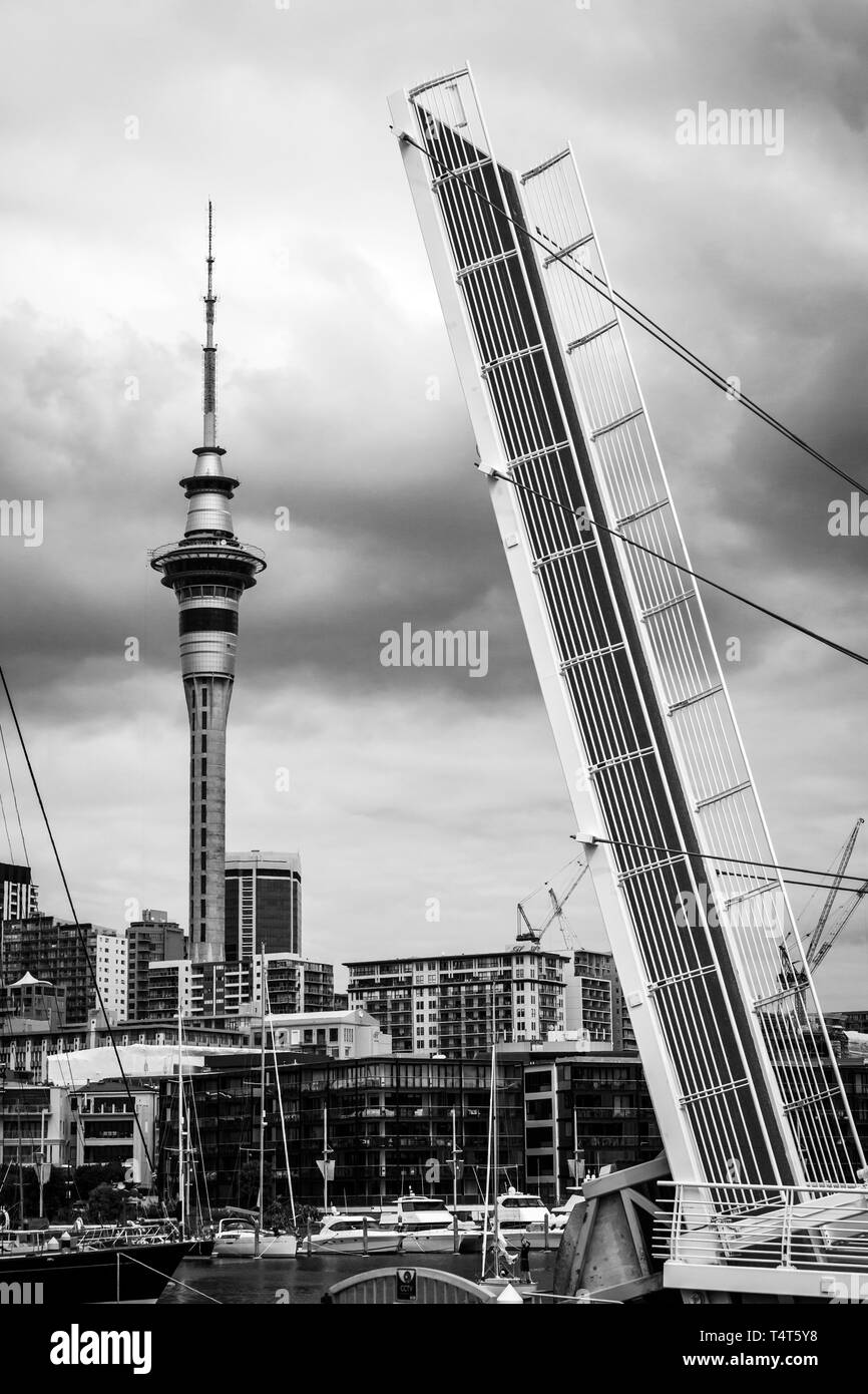 Porto di Auckland Foto Stock