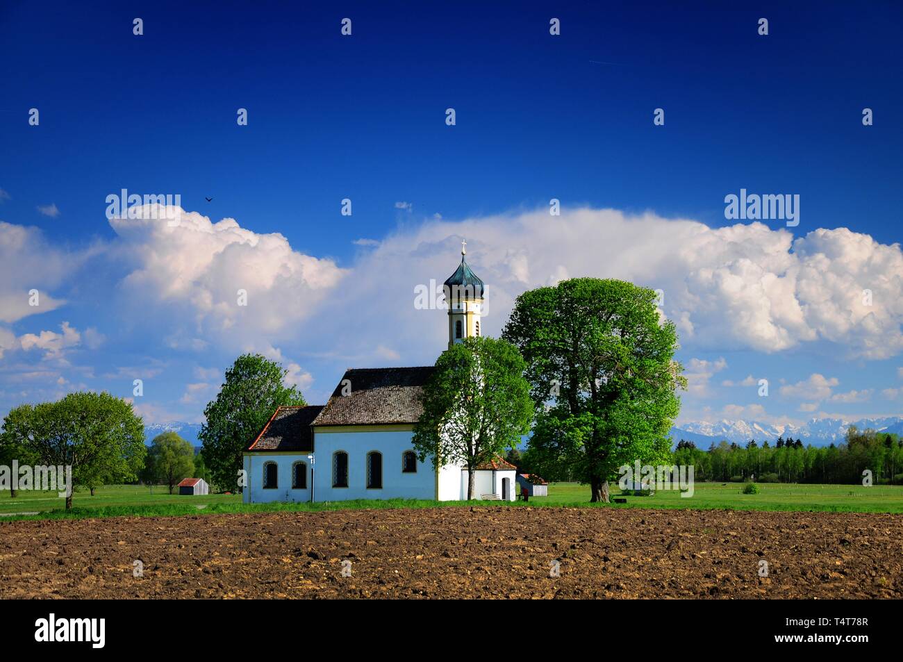 Sankt Johann im Felde, vicino Raisting, Alta Baviera, Weilheim / Schongau, sullo sfondo delle Alpi Bavaresi, Baviera, Germania, Europa Foto Stock