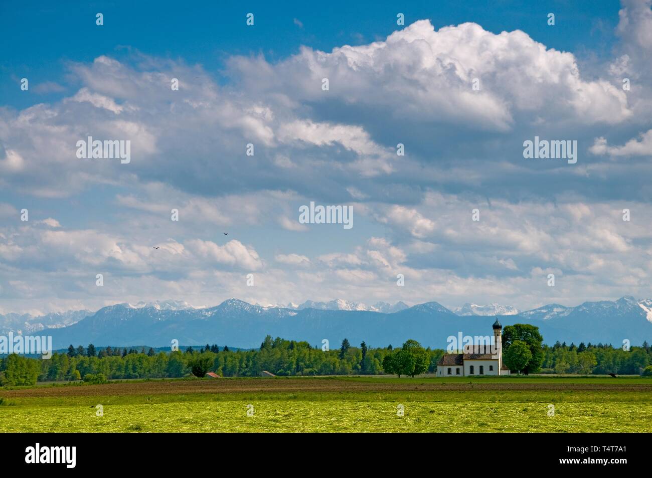 Sankt Johann im Felde, vicino Raisting e sullo sfondo le Alpi bavaresi, Baviera, Germania, Europa Foto Stock