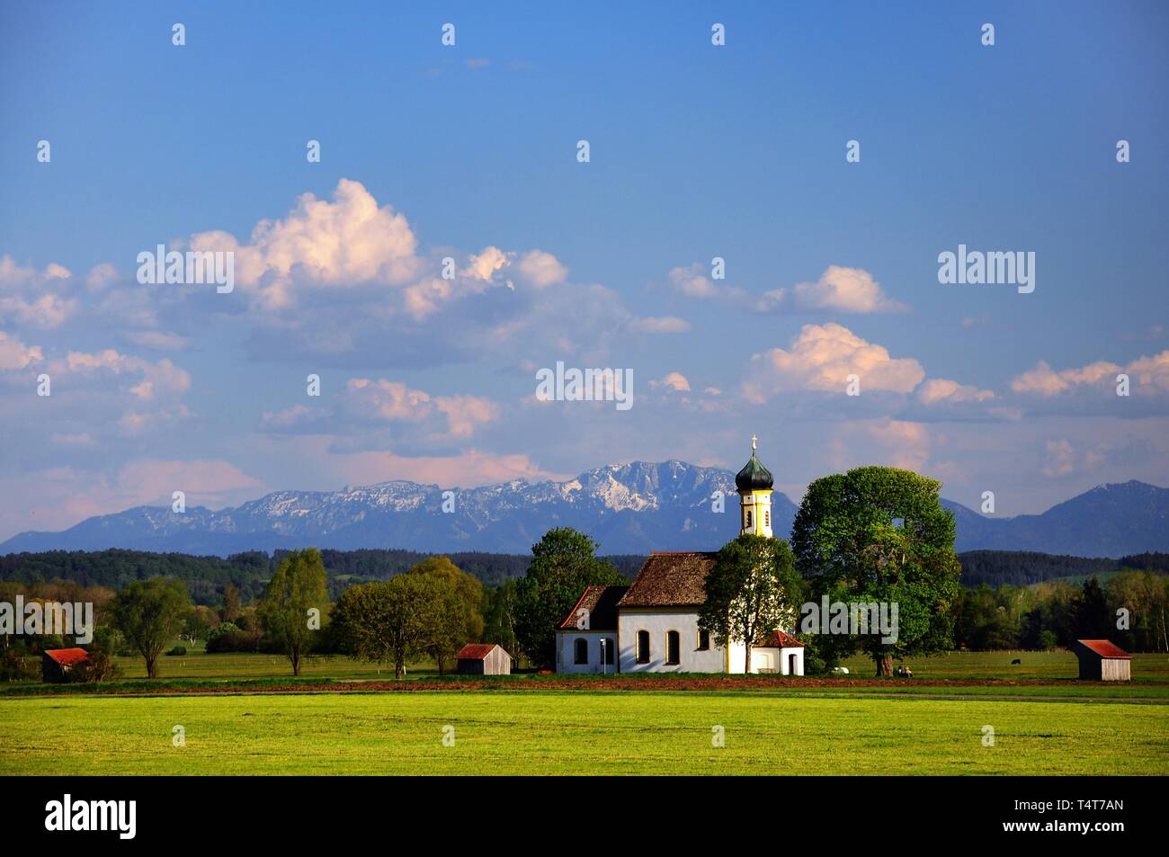 Sankt Johann im Felde, vicino Raisting, Alta Baviera, Weilheim / Schongau, sullo sfondo delle Alpi Bavaresi, Baviera, Germania, Europa Foto Stock