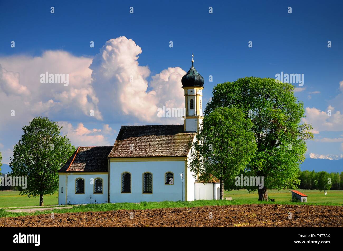 Sankt Johann im Felde, vicino Raisting, Alta Baviera, Weilheim / Schongau, sullo sfondo delle Alpi Bavaresi, Baviera, Germania, Europa Foto Stock