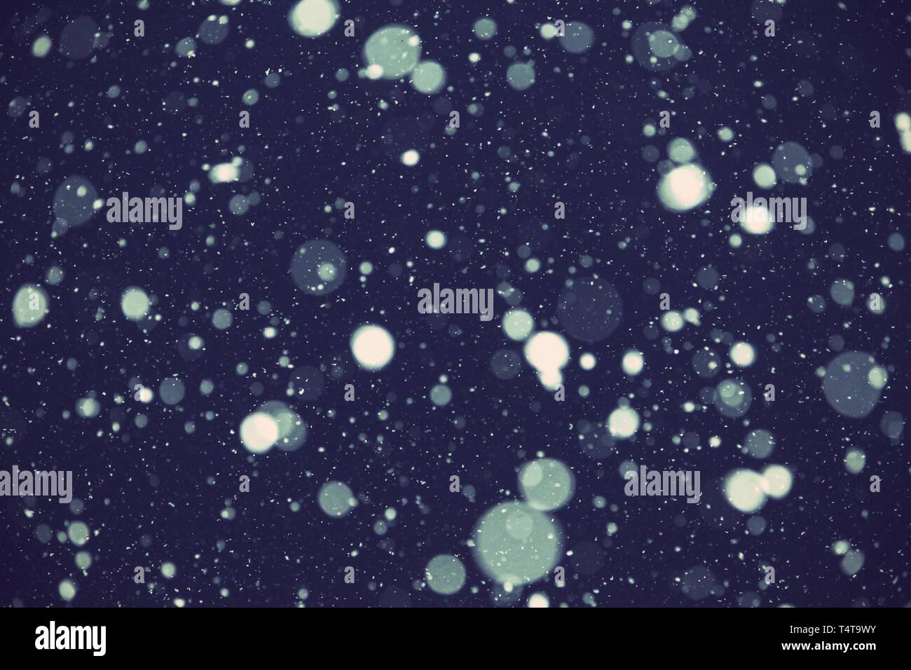 I fiocchi di neve di notte, la luce del flash Foto Stock