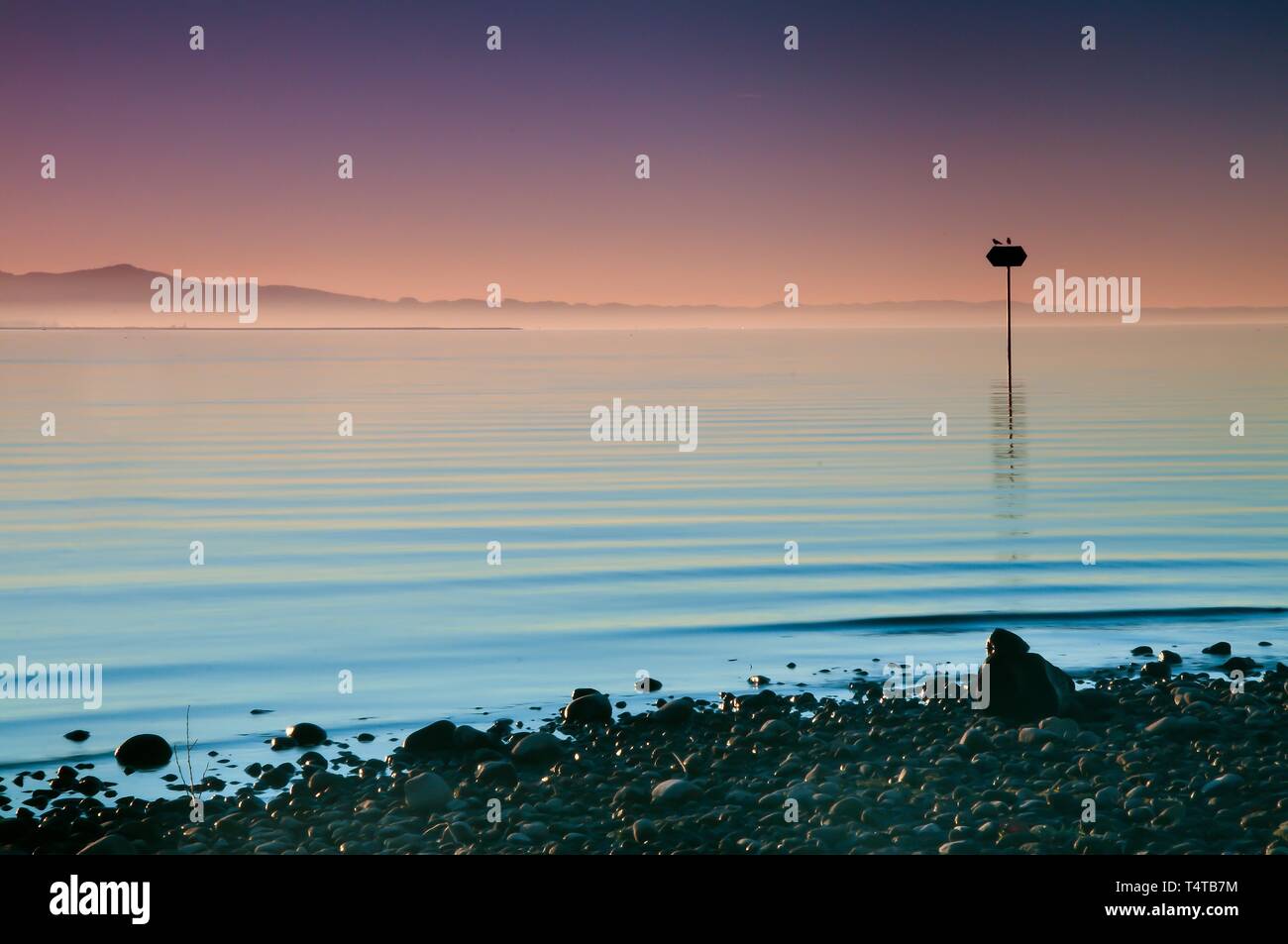 Tramonto sul lago di Costanza in Lochau, Germania, Europa Foto Stock