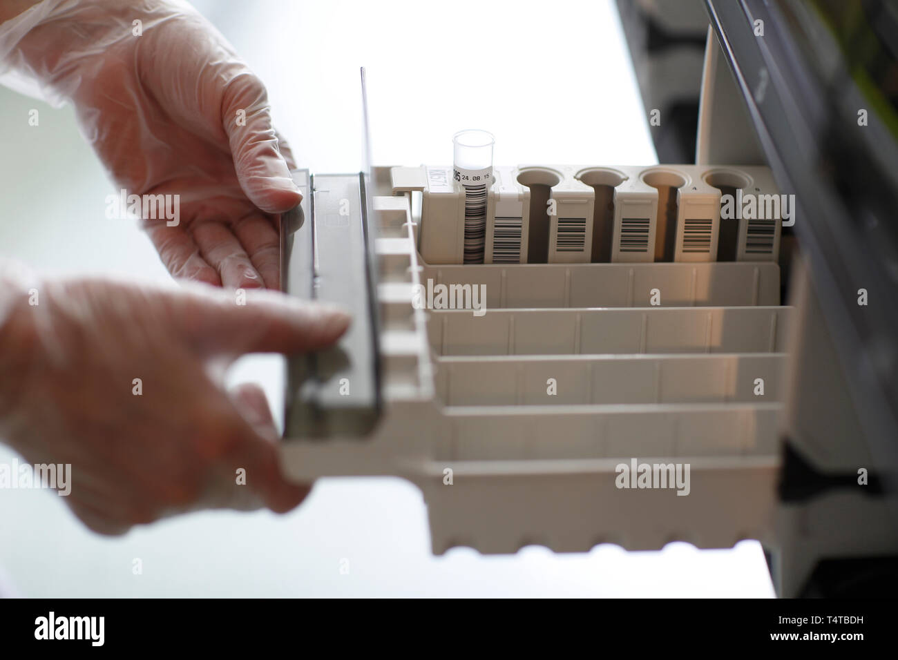 Biochimica, dettaglio, PCR (reazione a catena della polimerasi), DNA, Foto Stock