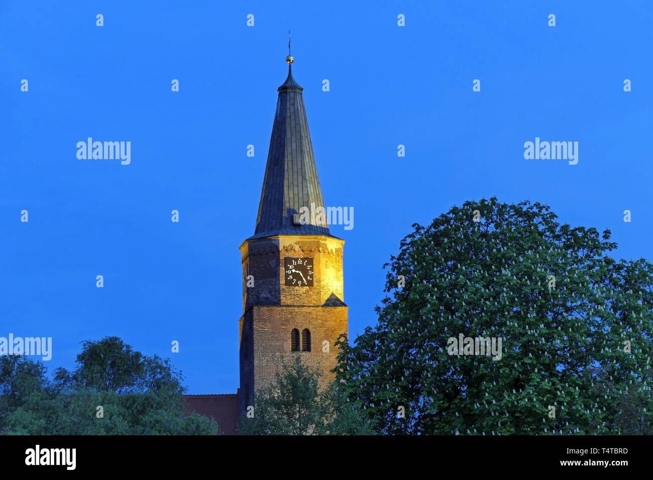 Cattedrale, la Cattedrale di San Pietro e Paolo, Città Vecchia, Brandenburg an der Havel, stato di Brandeburgo, in Germania, in Europa Foto Stock