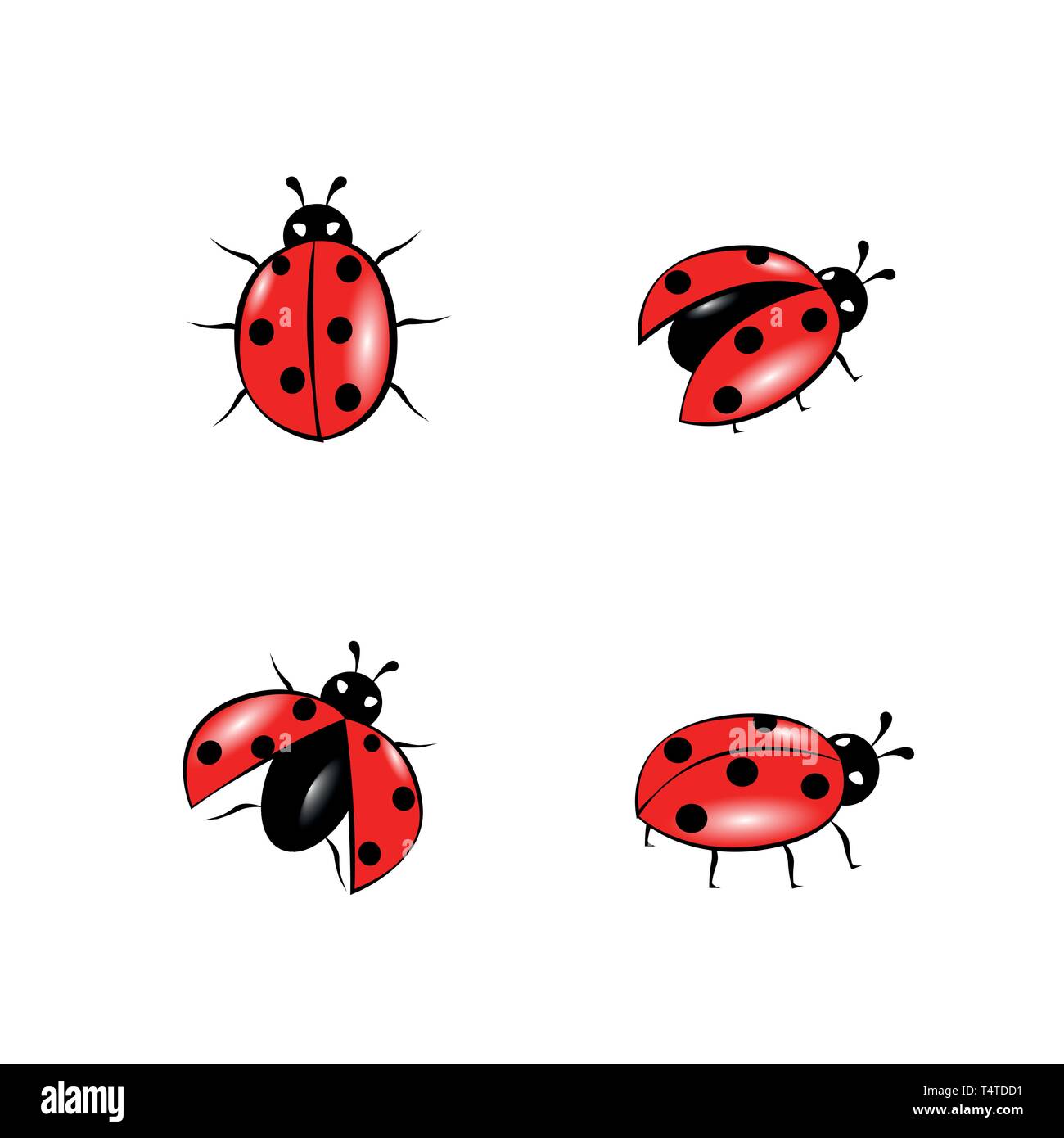 Set di Red Ladybug isolato su bianco illustrazione vettoriale EPS10 Illustrazione Vettoriale