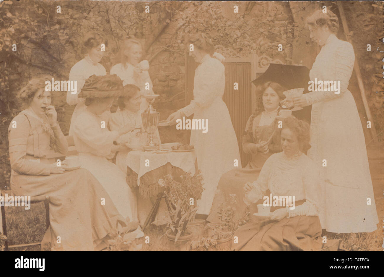 Vintage Edwardian Cartolina fotografica che mostra un gruppo di donne aventi un giardino Tea Party. Foto Stock