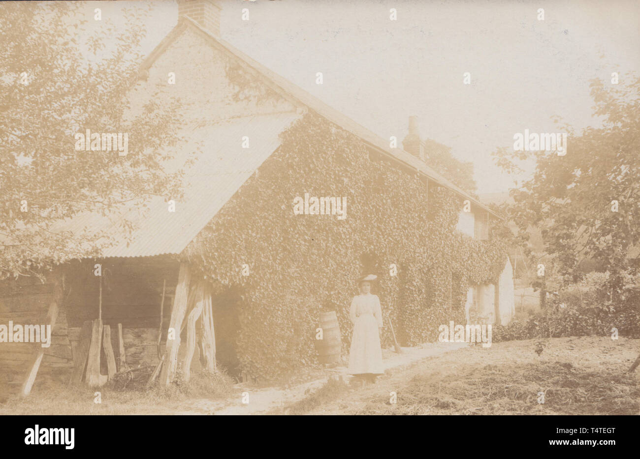 Vintage Cartolina fotografica che mostra una storica coperto di edera rurale Casa britannica Foto Stock