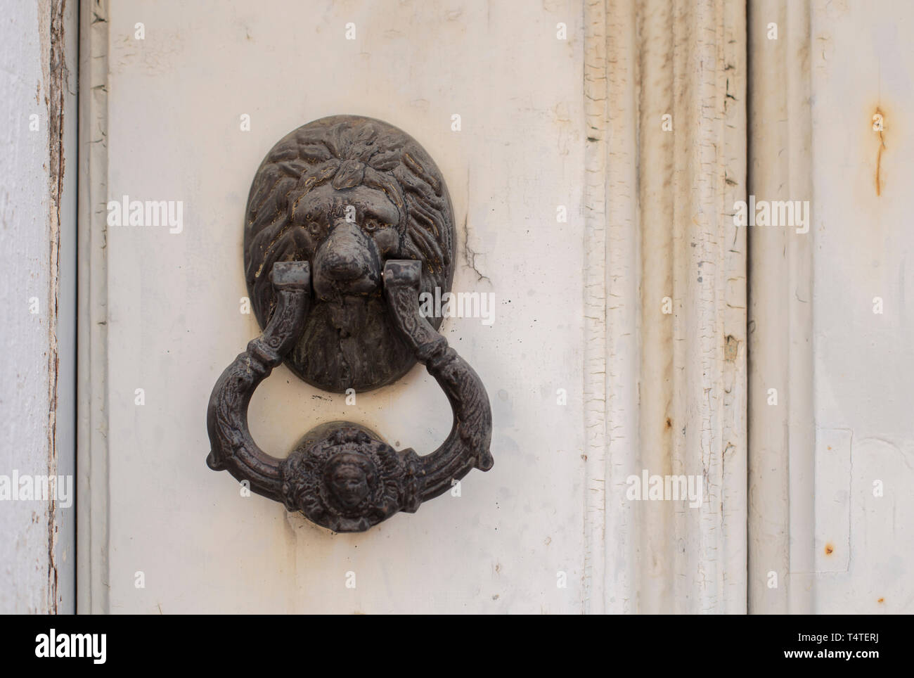 L'Old Lion respingente sulla porta di legno Foto Stock