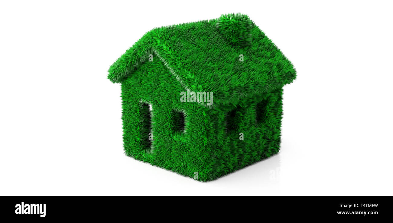 Eco home concetto. Colore verde erba capelli casa isolata modello tagliato fuori contro uno sfondo bianco, percorso di clipping. 3d illustrazione Foto Stock