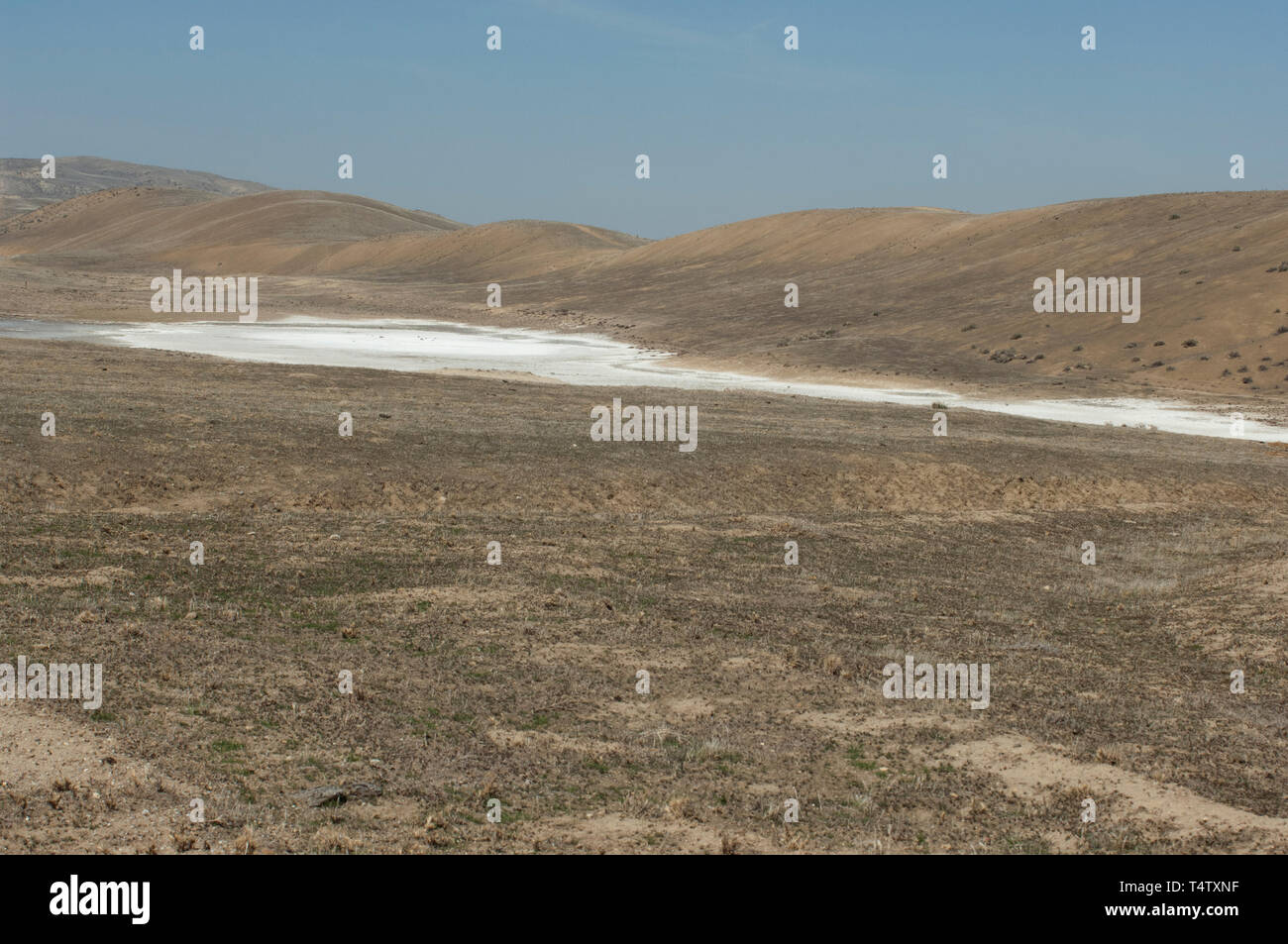 Lago di soda in San Andreas anomalia, Carrizo Plain monumento nazionale, California. Fotografia digitale Foto Stock