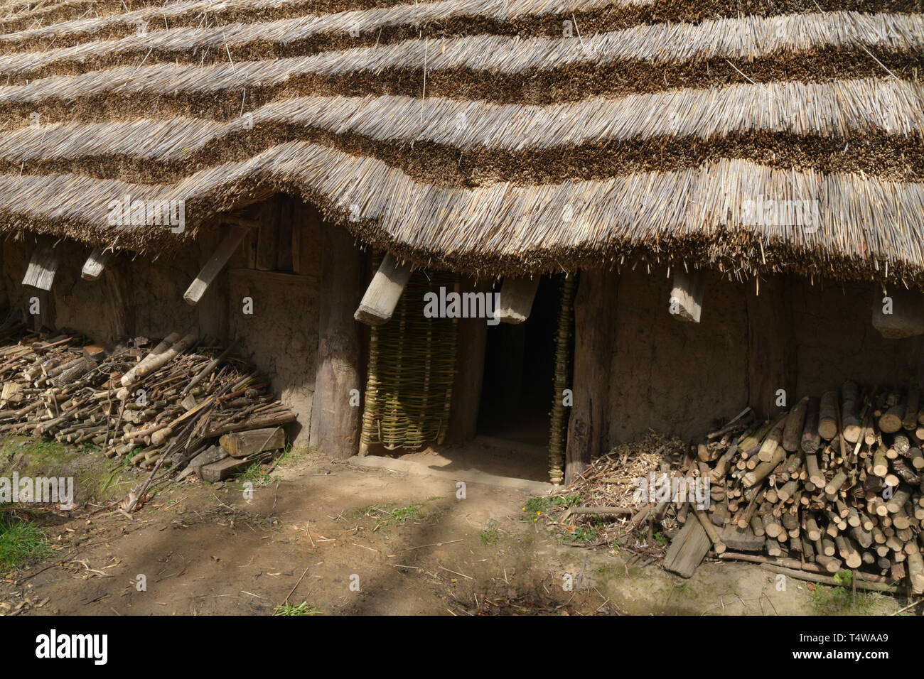 Il neolitico Longhouse presso La Hougue Bie museo è stato costruito utilizzando strumenti antichi e mestieri.Con una lamella tetto di paglia supportato su colonne di legno e ra Foto Stock