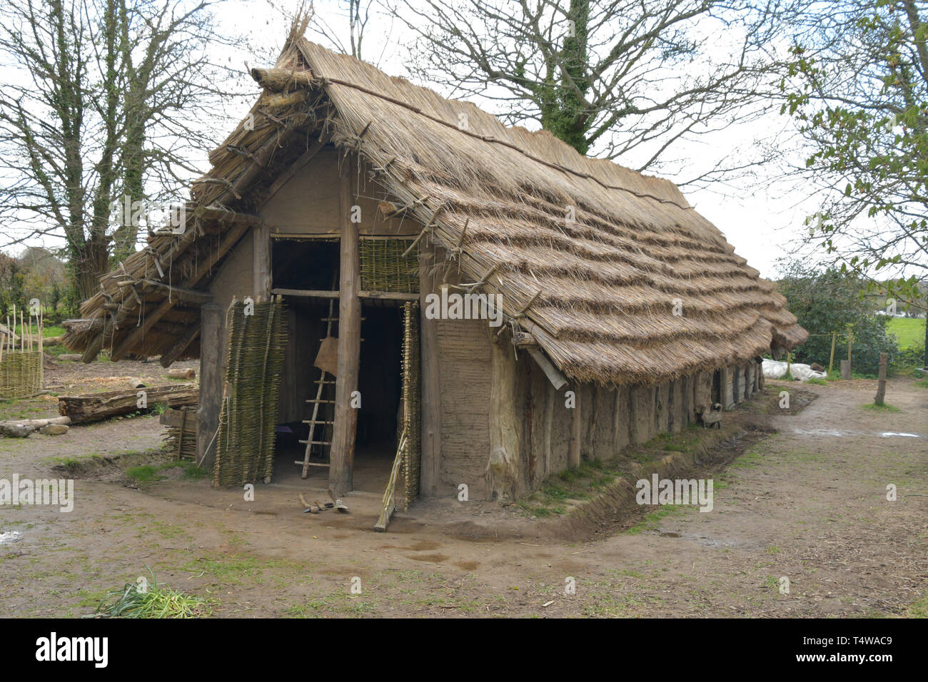 Il neolitico Longhouse presso La Hougue Bie museo è stato costruito utilizzando strumenti antichi e mestieri.Con una lamella tetto di paglia supportato su colonne di legno e ra Foto Stock