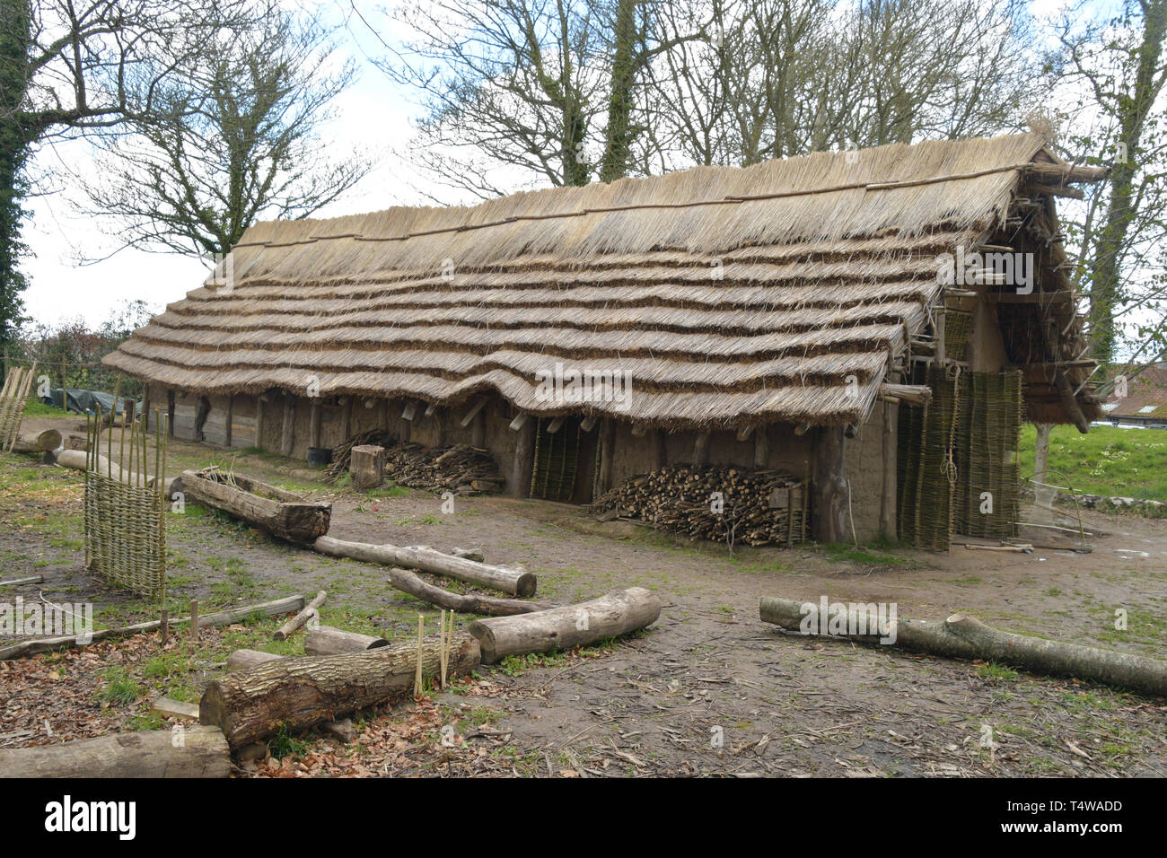 Il neolitico Longhouse presso La Hougue Bie museo è stato costruito utilizzando strumenti antichi e mestieri.Con una lamella tetto di paglia supportato su colonne di legno e ra Foto Stock