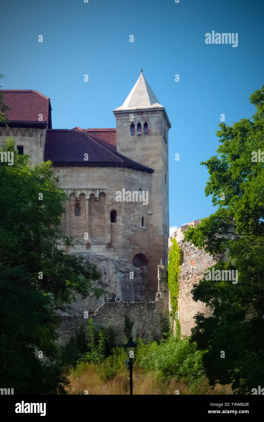 Il Liechtenstein castello vicino a Vienna Foto Stock