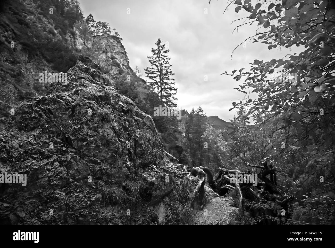 Ötschergraben 'austriaca di Grand Canyon' Foto Stock